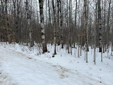 Crestview Circle, Elmira, MI 49730