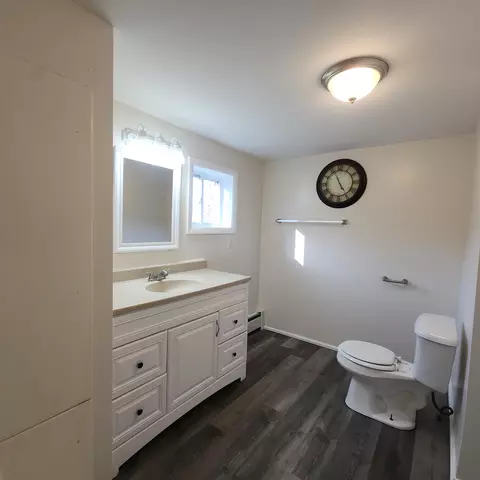 Bath - 12950 Spruce St, Wolverine, MI 49799 photo 2 of 2