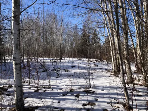 12114 Butler Rd, Cheboygan, MI 49721