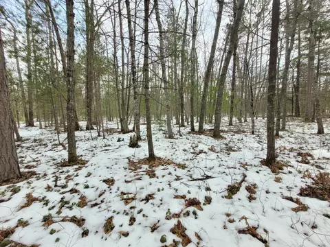 Cherokee Court, Rogers City, MI 49779