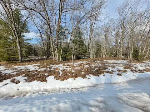 Chippewa Trail, Rogers City, MI 49779