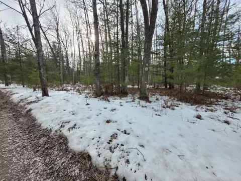 Clay Banks Road, Rogers City, MI 49779