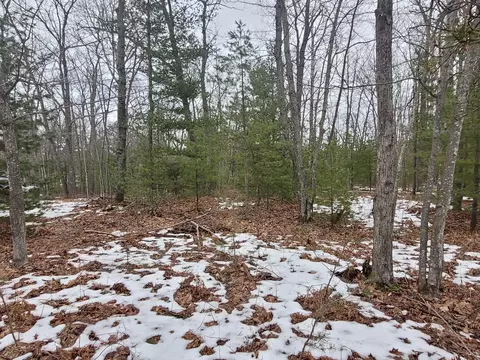 Pawnee Trail, Rogers City, MI 49779