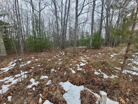 Pawnee Trail, Rogers City, MI 49779