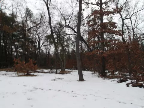 4840 Bryant Street Lot 47 Glennie Mi 48737 St #LOT 47, Glennie, MI 48737