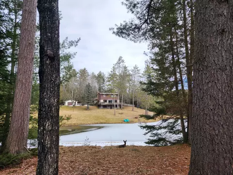 1122 N Perry Creek Rd, Mio, MI 48647