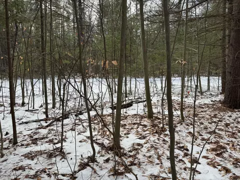 Littlefield Lane, Alanson, MI 49706