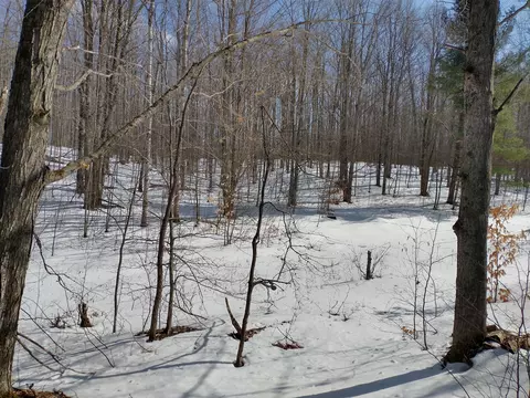 Maxam Road, Frederic, MI 49733 photo 3
