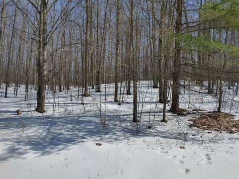 Maxam Road, Frederic, MI 49733 photo 2