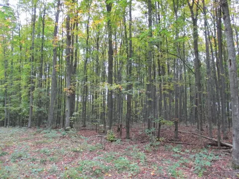 Maxam Road, Frederic, MI 49733