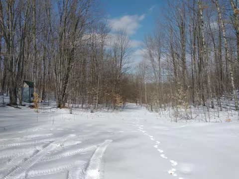 Maxam Road, Frederic, MI 49733 photo 5