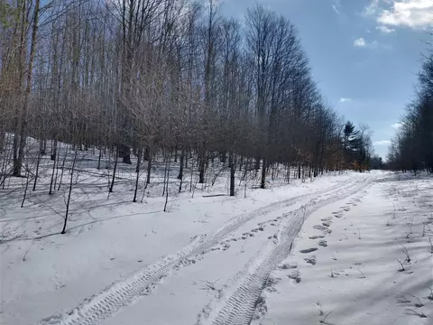 Maxam Road, Frederic, MI 49733 photo 6