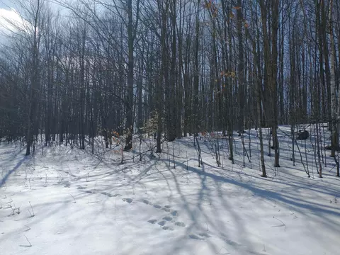 Maxam Road, Frederic, MI 49733 photo 4