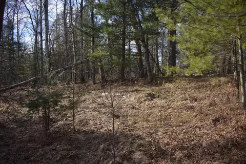 S Au Sable Trail, Grayling, MI 49738 photo 7