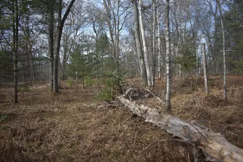 S Au Sable Trail, Grayling, MI 49738 photo 9