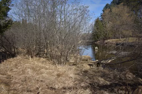 S Au Sable Trail, Grayling, MI 49738 photo 5