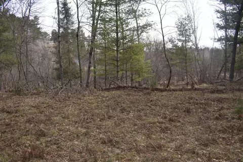S Au Sable Trail, Grayling, MI 49738 photo 10