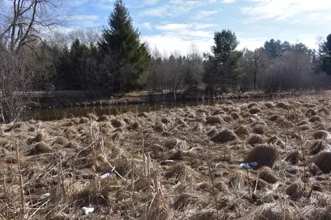 S Au Sable Trail, Grayling, MI 49738 photo 3