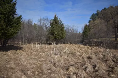 S Au Sable Trail, Grayling, MI 49738 photo 6