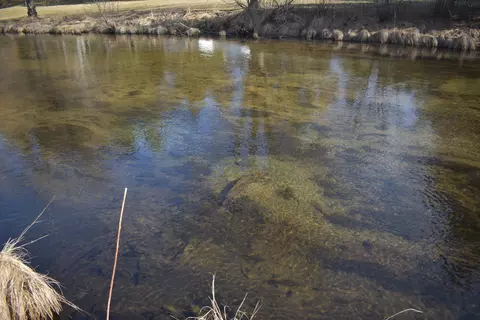 S Au Sable Trail, Grayling, MI 49738 photo 4