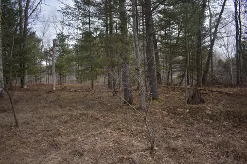 S Au Sable Trail, Grayling, MI 49738 photo 11
