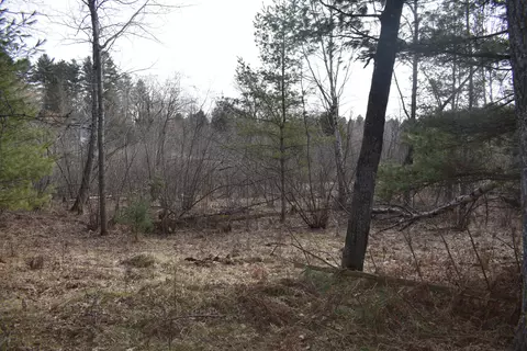 S Au Sable Trail, Grayling, MI 49738 photo 8