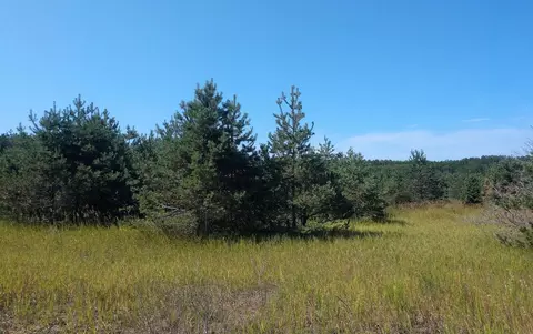 10123 N Black River Rd, Cheboygan, MI 49721