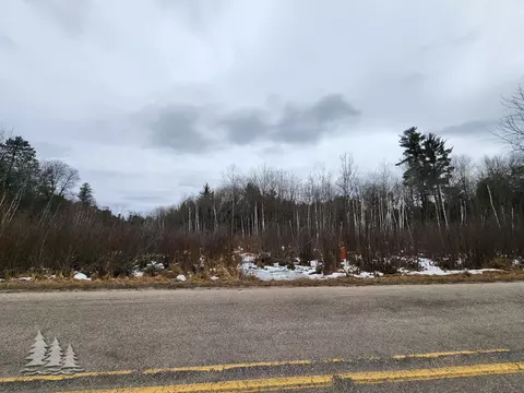 Crapo Lake Road, Johannesburg, MI 49751
