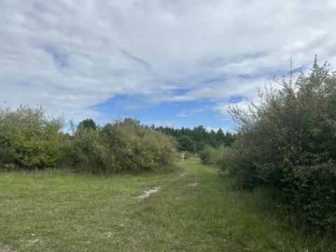 5352 Anderson Rd, Spruce, MI 48762 photo 21
