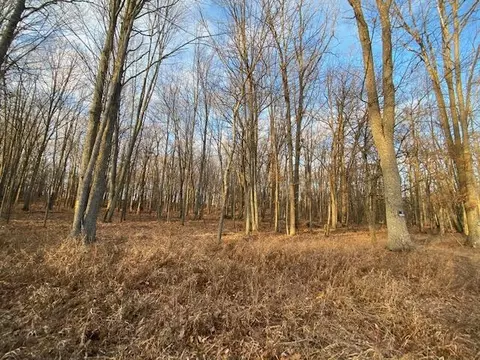 Lakewood Drive, Roscommon, MI 48653