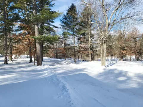 View/Area - 6901 S Stephan Bridge Road Roscommon Mi 48653 Rd, Roscommon, MI 48653 photo 5 of 5