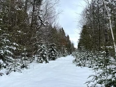 Hayes Lane, Cheboygan, MI 49721