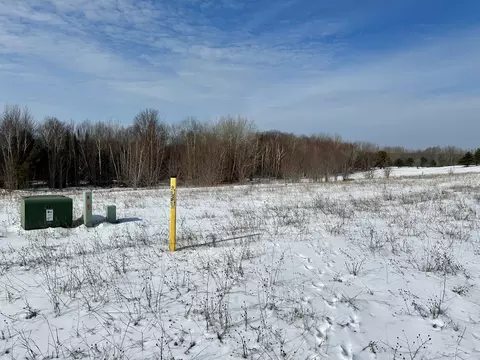 1766 Mullett View Drive Parcel 8 Cheboygan Mi 49721 Dr #PARCEL 8, Cheboygan, MI 49721