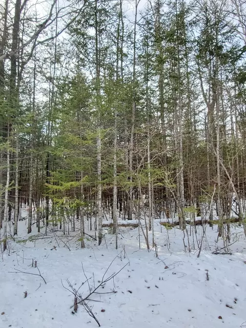 APT 165 Wilderness Drive, Presque Isle, MI 49777
