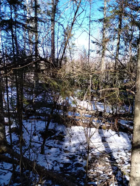 lot334 N Bay Shore Drive Presque Isle Mi 49777 Dr, Presque Isle, MI 49777