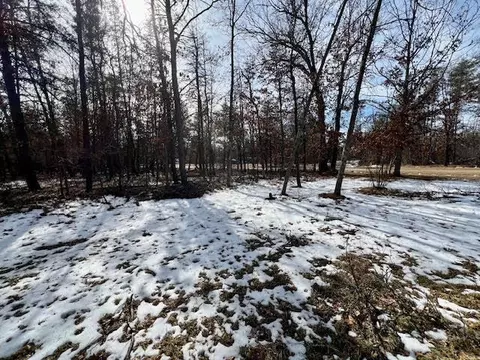 Exterior - 401 Starron Rd, Roscommon, MI 48653 photo 4 of 9