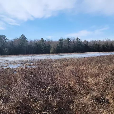 Old Pine Trail, Houghton Lake, MI 48629