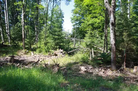 N Burr Oak Road, Lincoln, MI 48742