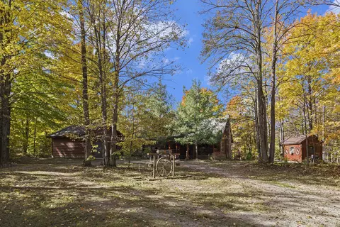 10149 Tittabawassee Trl, Gaylord, MI 49735