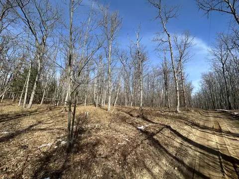 Finn Trail, Grayling, MI 49738 photo 11