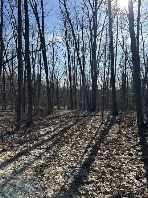 Finn Trail, Grayling, MI 49738 photo 8