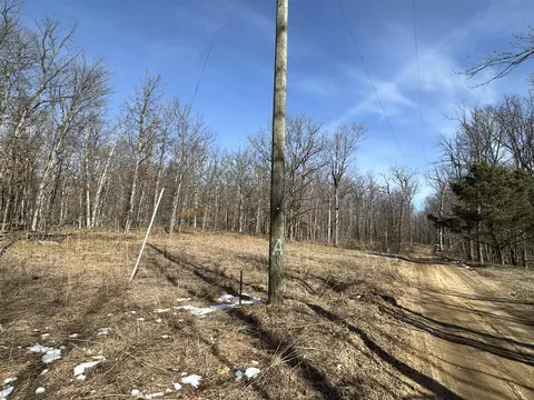 Finn Trail, Grayling, MI 49738 photo 3