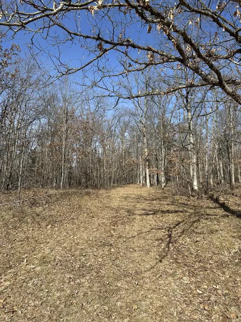 Finn Trail, Grayling, MI 49738 photo 5