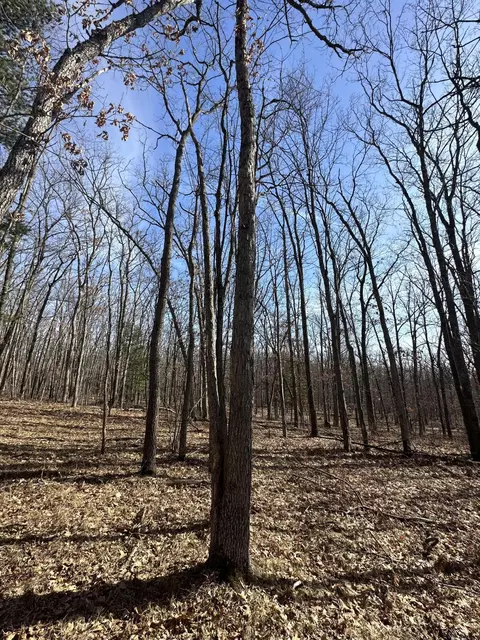 Finn Trail, Grayling, MI 49738 photo 6