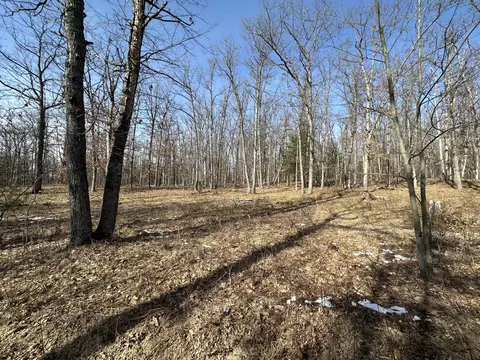 Finn Trail, Grayling, MI 49738 photo 10
