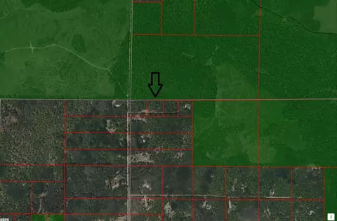 Finn Trail, Grayling, MI 49738 photo 2