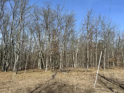 Finn Trail, Grayling, MI 49738 photo 4