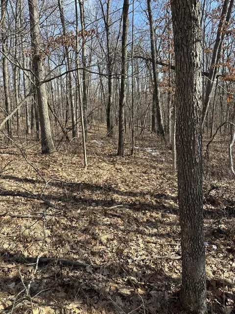 Finn Trail, Grayling, MI 49738 photo 7