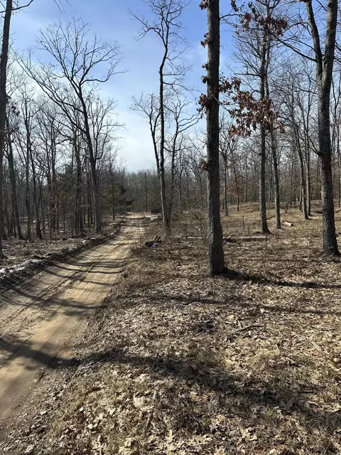 Finn Trail, Grayling, MI 49738 photo 9