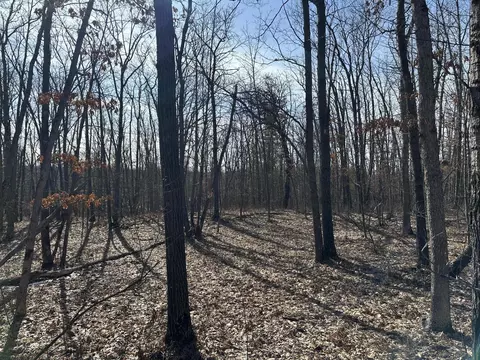 Finn Trail, Grayling, MI 49738